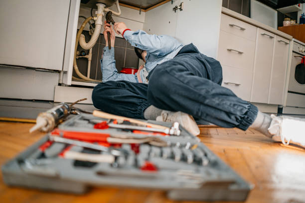 Best Toilet Repair Services  in Orlinda, TN
