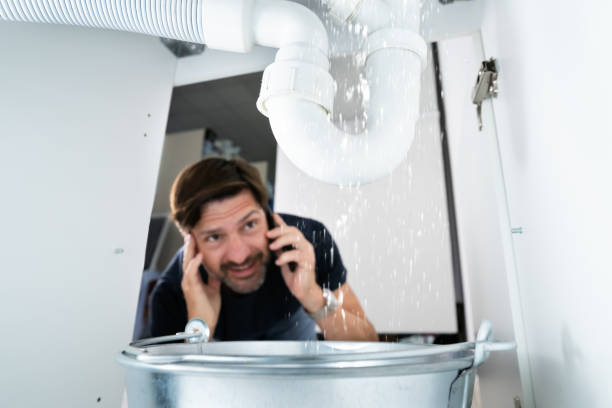 Best Septic Systems  in Orlinda, TN